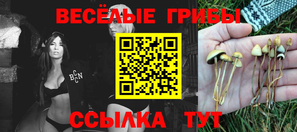 Елабуга  цена   Вход с VPN  Галлюциногенные грибы мухоморы  Псилоцибиновые грибы ЛСД 