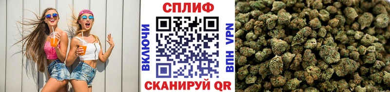 Бошки марихуана индика  Елабуга 